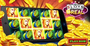 29bdwin