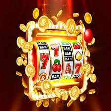 29bdwin