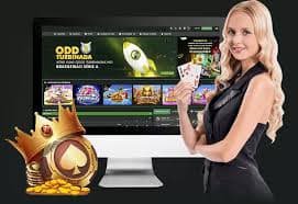 29bdwin